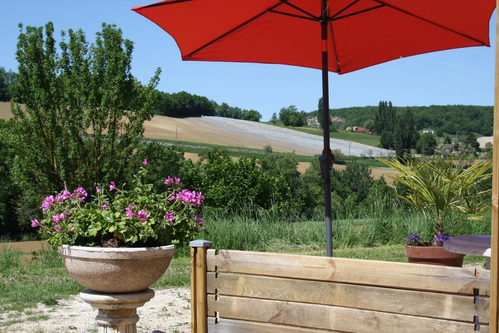 La Perle Du Lot Bed & Breakfast Castelnau-Montratier Dış mekan fotoğraf